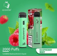 Gunnpod 2000 puffs Raspberry Mint 0% Nicotine